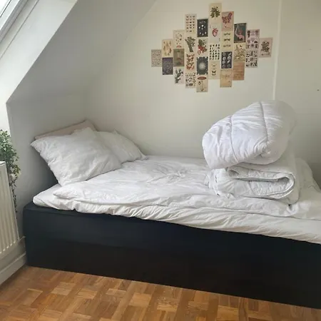 Apartamento Cool Familyhome Close To The W Two Cuddly Cats Espergærde